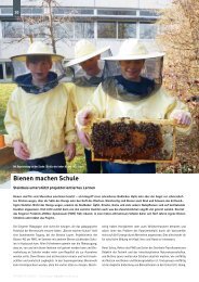 Bienen machen schule - Friedrich-Wöhler-Gymnasium Singen