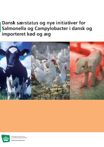 Dansk særstatus og nye initiativer for Salmonella ogCampylobacter