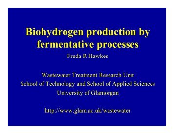 Biohydrogen production by fermentative processes - Fuel Cell Markets