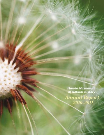 Annual Report 2010-2011 - Florida Museum of Natural History ...