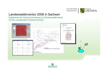 Ergebnisse Landeswaldinventur - Freistaat Sachsen