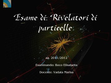 Esame di: Rivelatori di particelle - Fisica