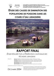 RAPPORT FINAL - Fischnetz