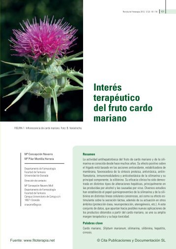 Interés terapéutico del fruto cardo mariano - Fitoterapia.net