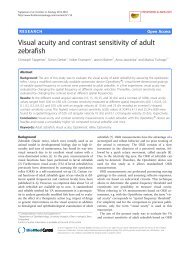 Visual acuity and contrast sensitivity of adult zebrafish - Frontiers in ...