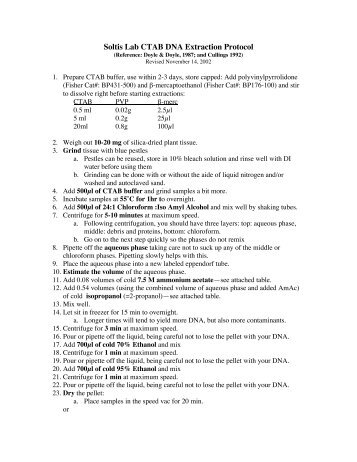 Soltis Lab CTAB DNA Extraction Protocol