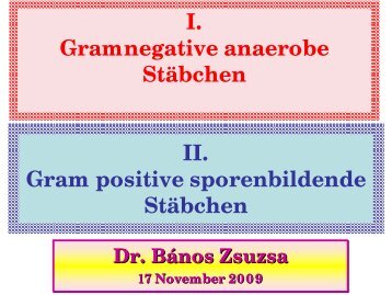 Gram positive sporenbildende Stäbchen