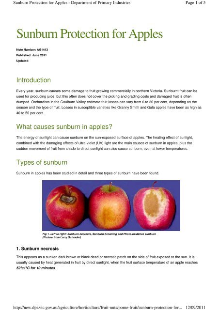 Sun Protection for Apples Agnote