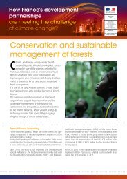 Conservation and sustainable management of forests
