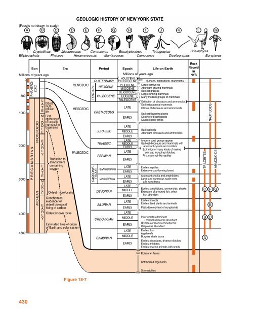 Chapter 18 Fossils and Geologic Time