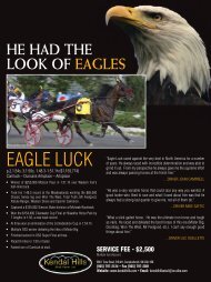 EAgLE LuCk - Lambeth Media