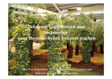 Bekannte Topfpflanzen neu inszenieren - Gärtnerei Umbach