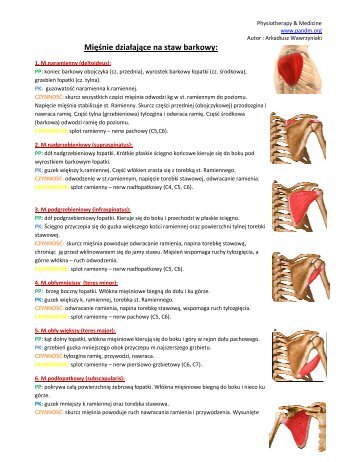 Mięśnie działające na staw barkowy: - Pandm