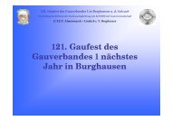 Darstellung des Vereins - Gauverband 1