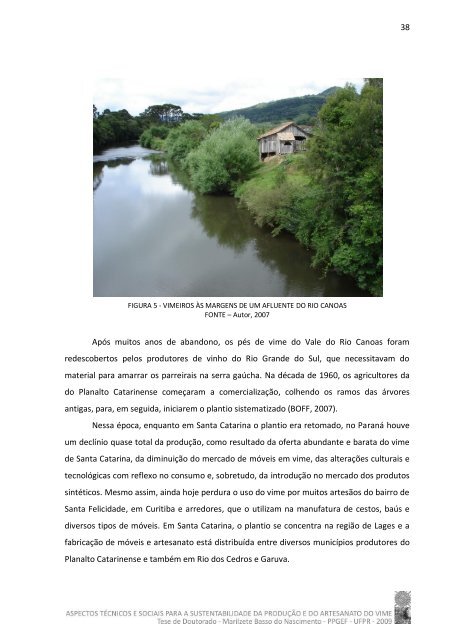 Tese em PDF - departamento de engenharia florestal - ufpr ...