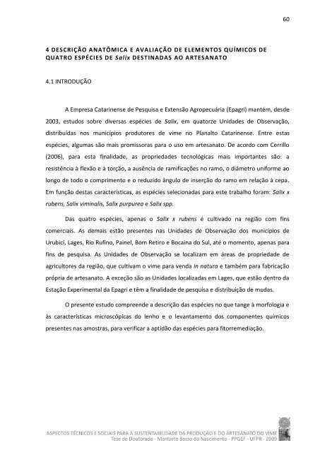 Tese em PDF - departamento de engenharia florestal - ufpr ...