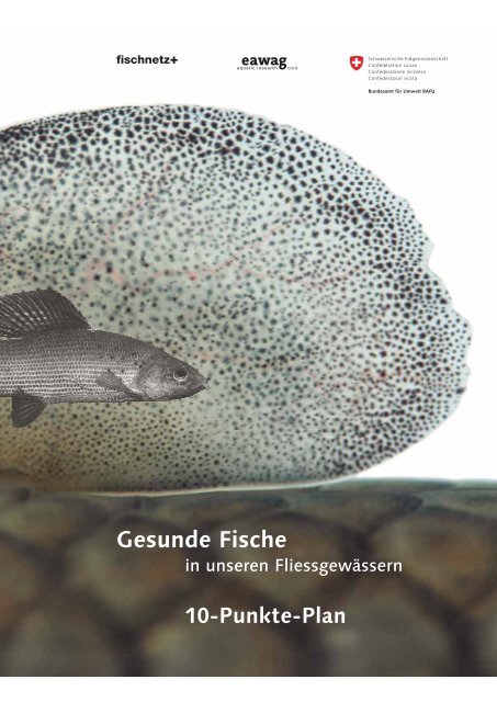 Gesunde Fische in unseren Fliessgewässern: 10 ... - BAFU - CH