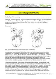 Quitte Verwertungsobst Schmidt.pdf - Gartenakademie