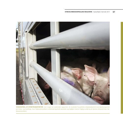 Dyrevelfærd i Danmark 2011 - Fødevarestyrelsen