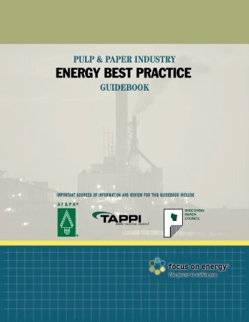 Pulp and Peper Guidebook - Focus on Energy