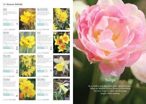 2010 Autumn Catalogue - Flowerfarm