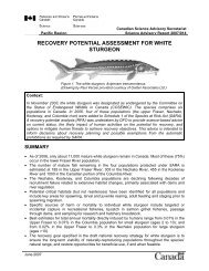 RECOVERY POTENTIAL ASSESSMENT FOR WHITE STURGEON