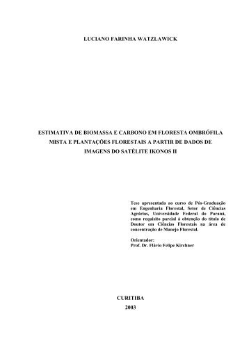 luciano farinha watzlawick estimativa de biomassa e carbono em ...