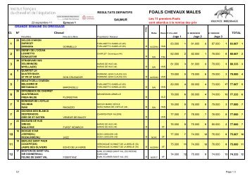 Foals chevaux mâles - Ecole nationale d'équitation et du Cadre Noir ...