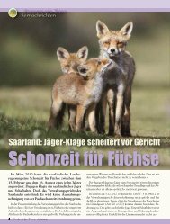 pdf-download - Magazin Freiheit für Tiere