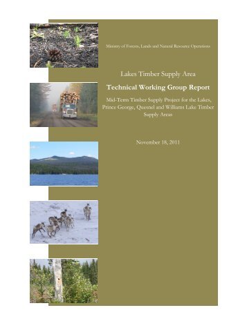 Appendix 4 – Lakes TSA Technical Working Group Report