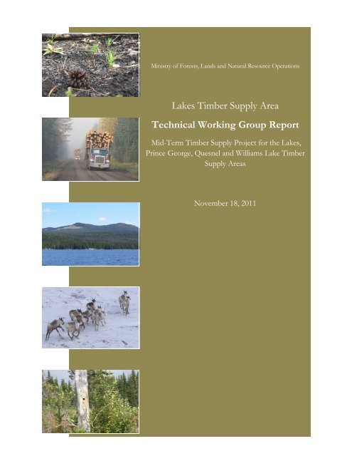 Appendix 4 – Lakes TSA Technical Working Group Report