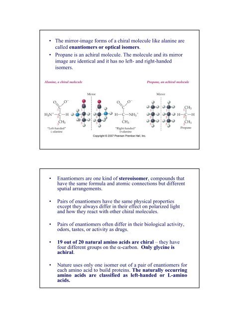 Acid-Base Properties of Amino Acids