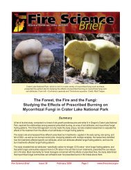 The Forest, the Fire and the Fungi - Joint Fire Science Program