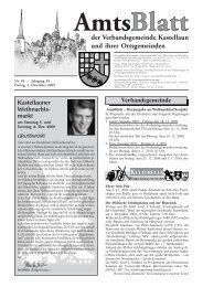 amt text 49 b - Fischer Druck + Verlag