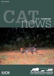 Confirmation of the endangered fishing cat in Botum-Sakor National ...