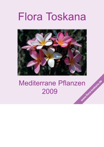 Mediterrane Blütenpflanzen ... Mittelmeerraum - Flora toskana