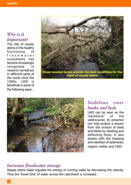 Managing Woody Debris - FreshwaterLife