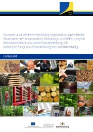 Analyse und Weiterentwicklung regional ausgerichteter Strukturen ...