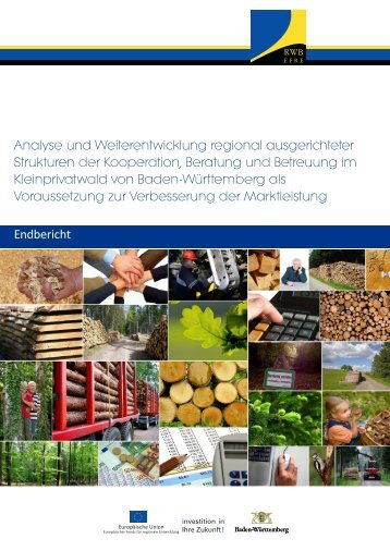 Analyse und Weiterentwicklung regional ausgerichteter Strukturen ...