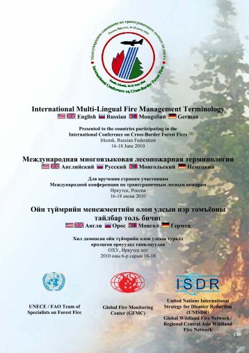 International Multi-Lingual Fire Management Terminology ...