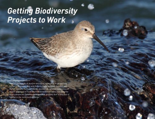 Biodiversity Conservation - the BIEAP and FREMP Website