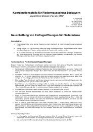 Neuschaffung von Einflugsöffnungen - Fledermaus-Bayern