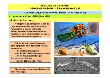 histoire de la terre deuxieme episode : le phanerozoique