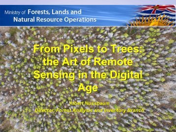 From Pixels to Trees: The Art of Remote Sensing in the Digital Age