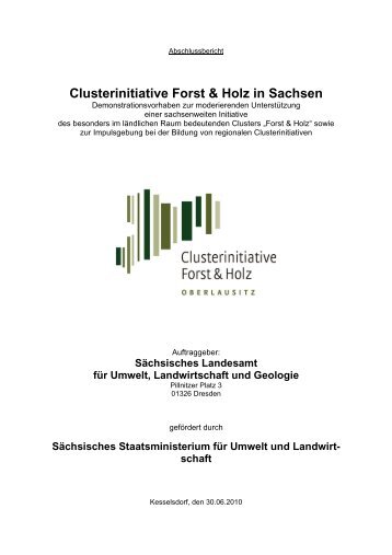 Endbericht des Projektes Clusterinitiative Forst & Holz in Sachsen