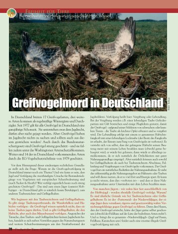 Greifvogelmord in Deutschland - Magazin Freiheit für Tiere