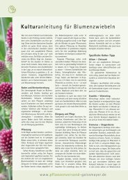 Kulturanleitung für Blumenzwiebeln [pdf, 250 KB]