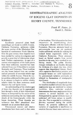 biostratigraphic analysis of eocene clay deposits in henry county ...