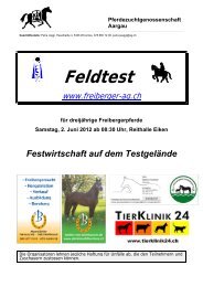 Feldtest - Pferdezuchtgenossenschaft Aargau