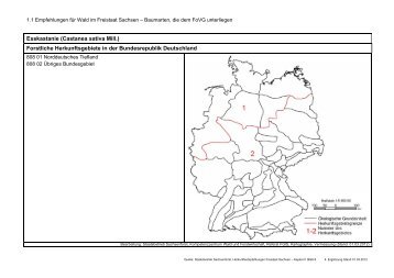 Esskastanie (Castanea sativa Mill.) - Wald, Forstwirtschaft, Jagd ...